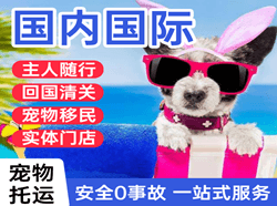 徕宁航空物流国际宠物托运 【国